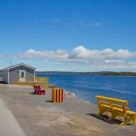 A Wave From It All Port Saunders Exterior photo